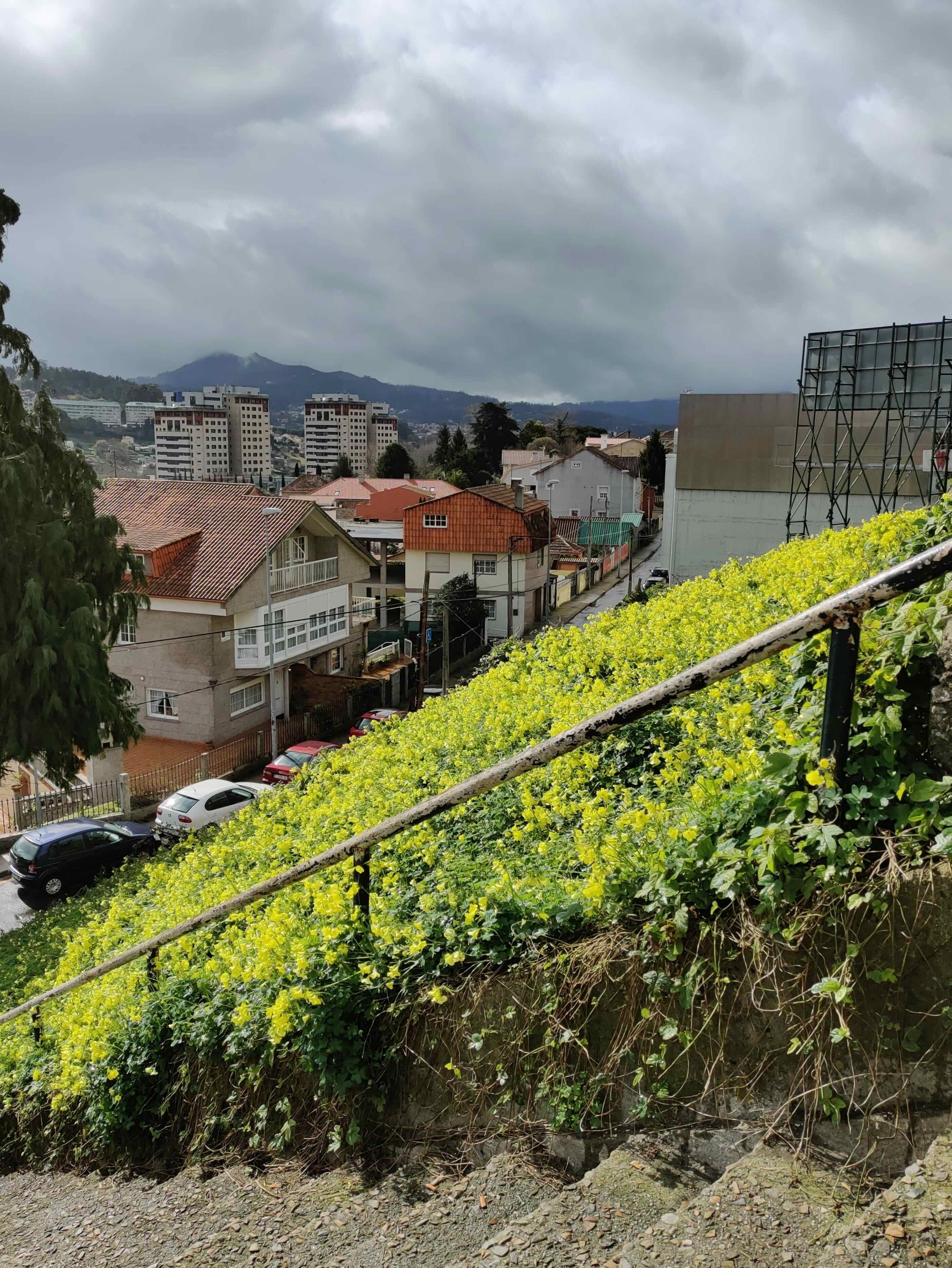 Desde una escalera. Imagen de Vigo